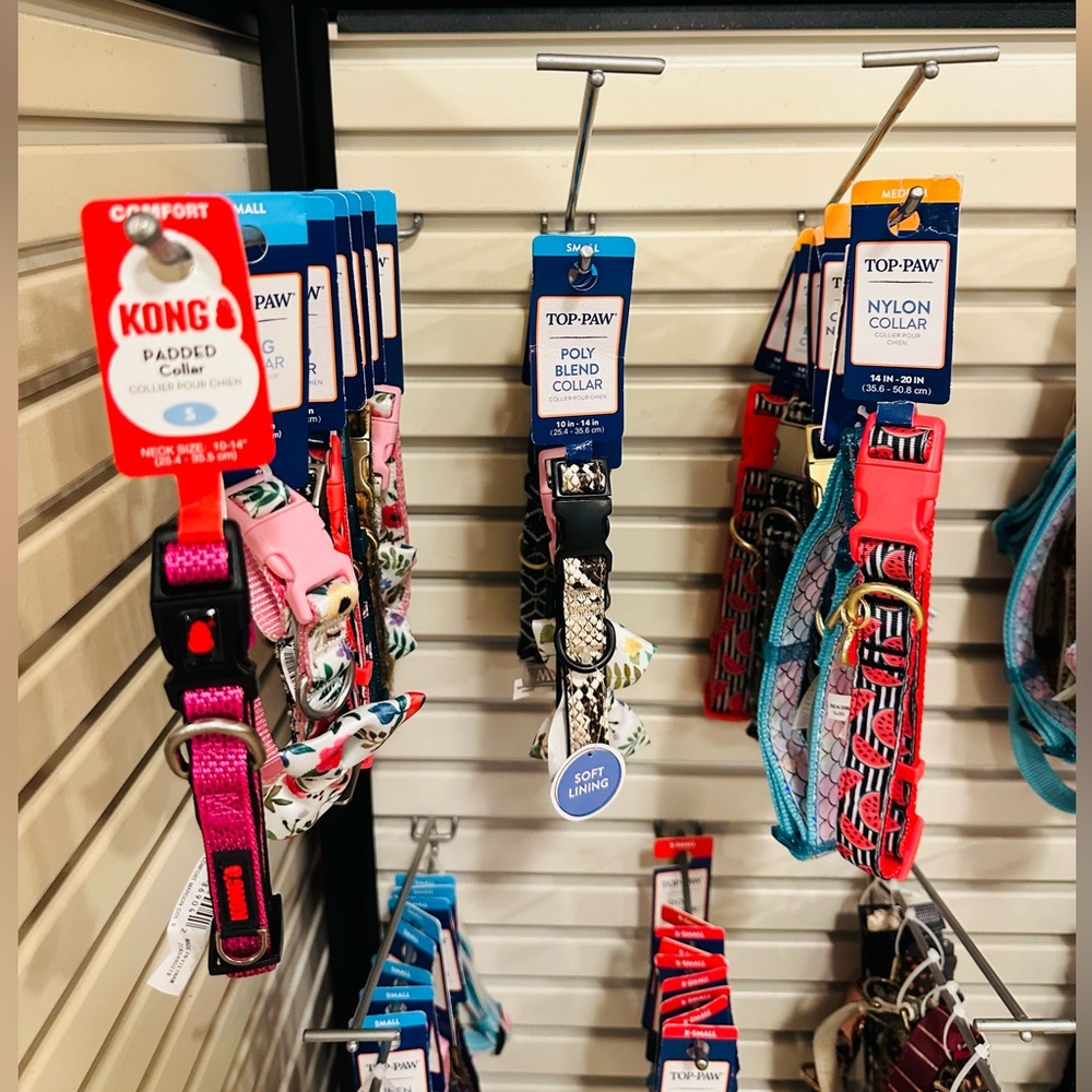 Dog collars (price for 3) - Picture 4 of 7